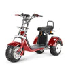 4000w Golf Trike Scooter 36+ Holes T7.4 - SoverSky