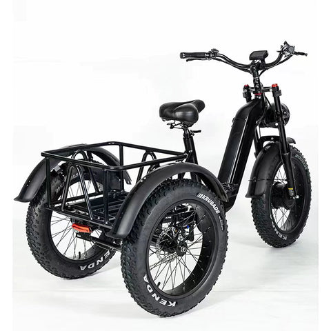 Electric Cargo 3 wheels Bike-TEB75-4813 - SoverSky