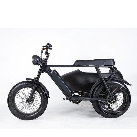 750W SoverSky Lithium Bike with Sidecar 28MPH 35Miles Shimano 6-Speed - SoverSky